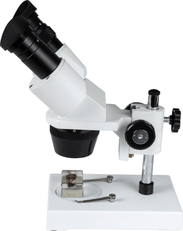 Celestron Labs S10-30N