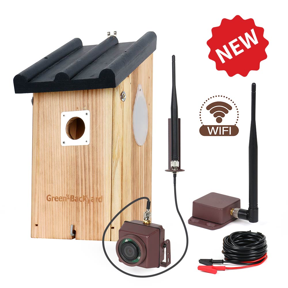 5401-06-Long-Range-Wireless-Bird-Box-Camera-3MP-Bundle-with-Battery-Cable-Connection