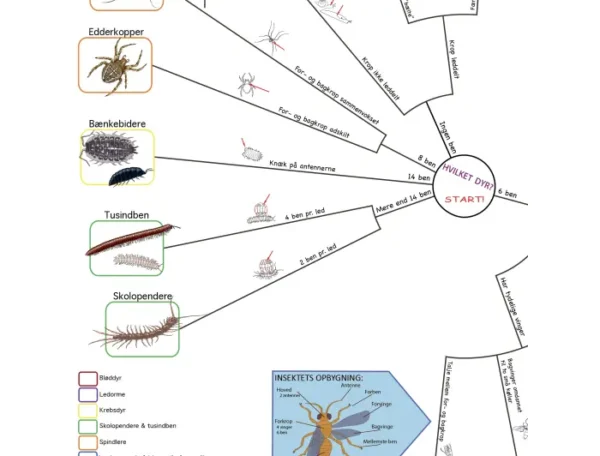bestemmelsesdug-i-farver-smadyr-insekter-fra-landjorden