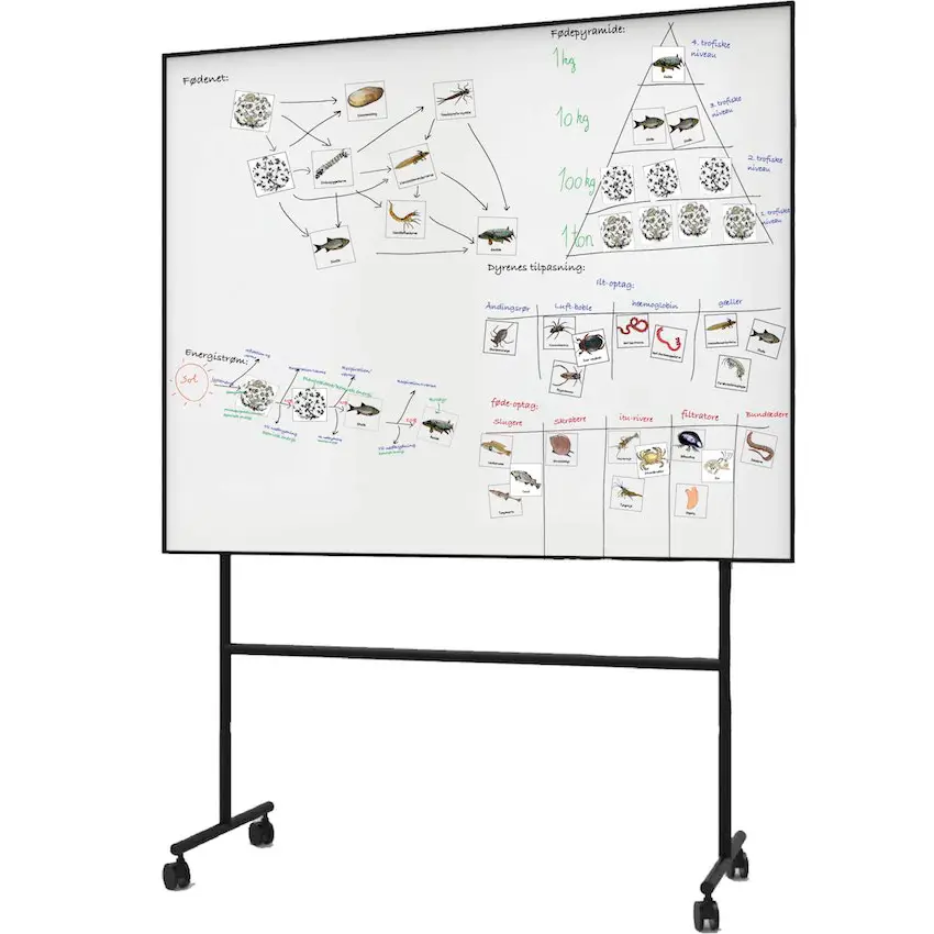 organismer-magnetiske