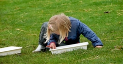 Fotobakke - 35 x 27x6