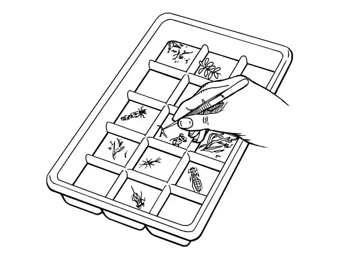 Sorteringsbakke med 15 rum