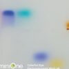 Colorful Dye Electrophoresis MiniLab (M3007TAE)