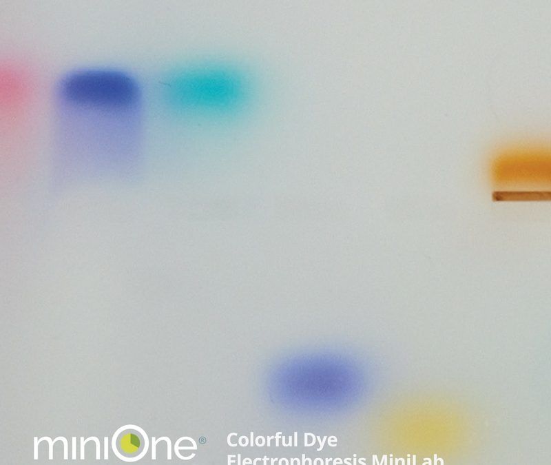 Colorful Dye Electrophoresis MiniLab (M3007TAE)