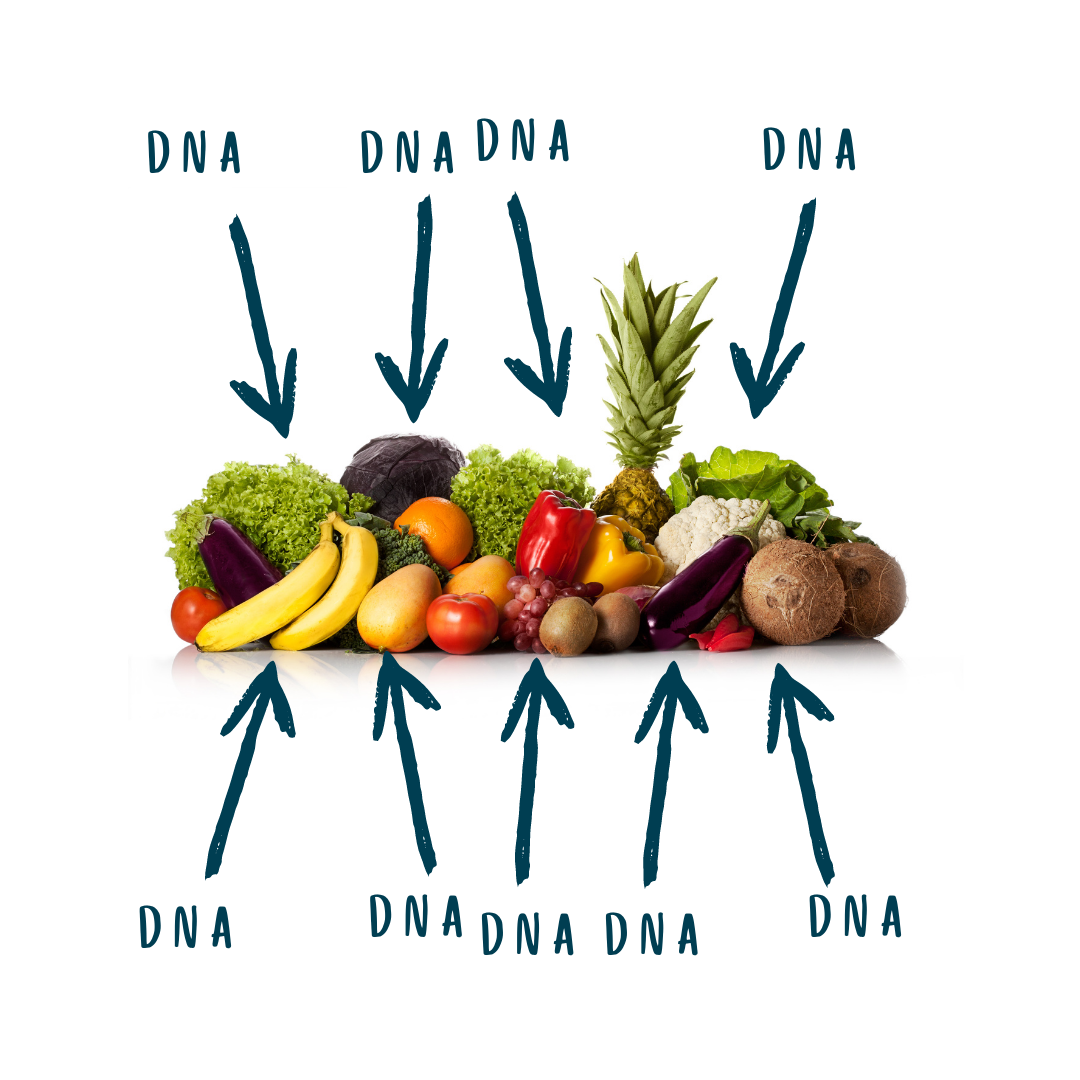 DNA Extraction Toolbox (M3015)