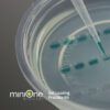 Pipetting and Gel Loading Practice Starter Kit (M3002KIT)