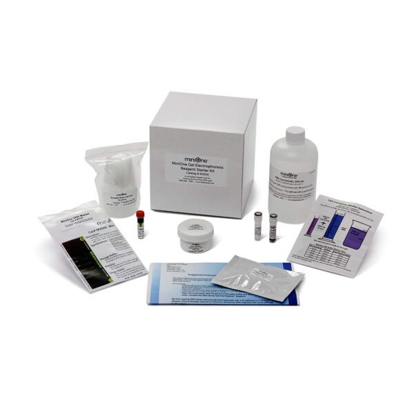 Electrophoresis 101 MiniLab (M3001TAE)