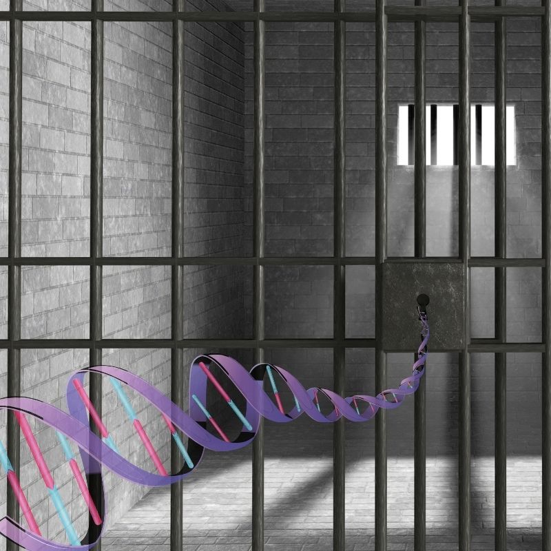 Molecular Ladder to Freedom – DNA Exoneration MiniLab (M3018TAE)