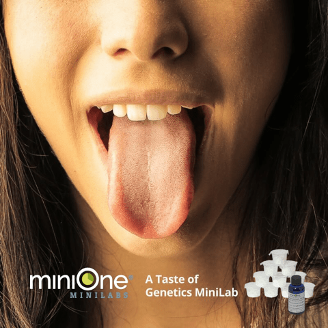 A Taste of Genetics MiniLab with Electrophoresis Reagents (M6010TAE)