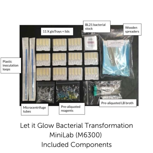 M6300-Let-it-Glow-Components-1 Let it Glow™ Bacterial Transformation MiniLab (M6300)