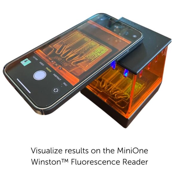 M6300-Winston- Let it Glow™ Bacterial Transformation MiniLab (M6300)