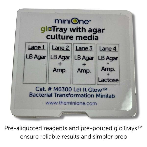 Let it Glow™ Bacterial Transformation MiniLab (M6300)