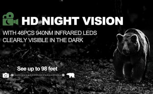 4K 60MP 1080P vildtkamera til jagt og vildtspor – Hvilke dyr kommer på besøg ?
