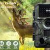 4K 60MP 1080P vildtkamera til jagt og vildtspor – Hvilke dyr kommer på besøg ?