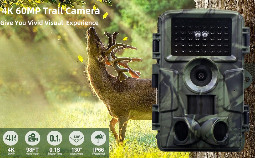 4K 60MP 1080P vildtkamera til jagt og vildtspor – Hvilke dyr kommer på besøg ?